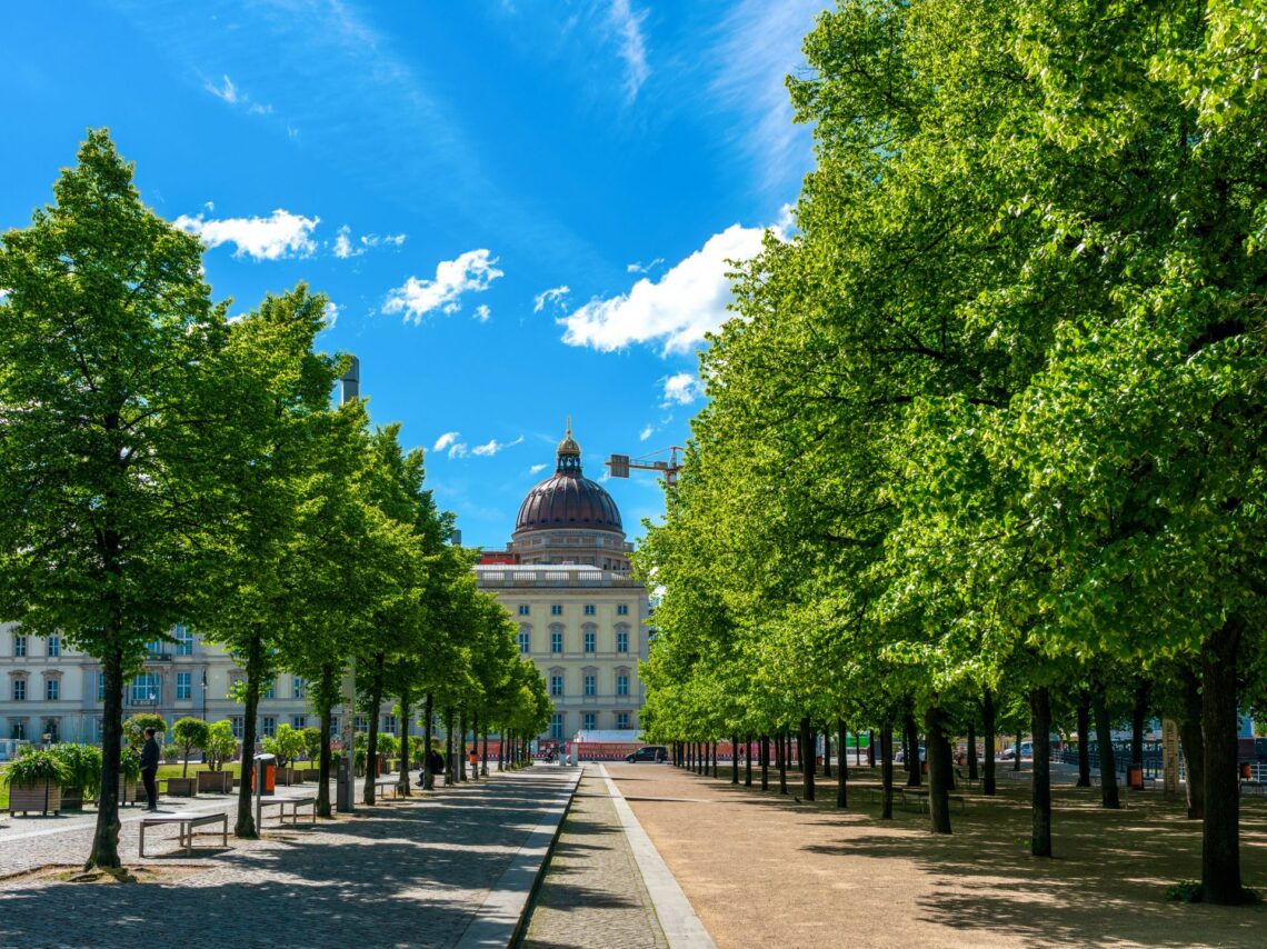 Baumallee am Lustgarten mit Blick auf das Humboldt Forum – zentraler Spazierweg nahe beliebter Treffpunkte rund um Escort Berlin.