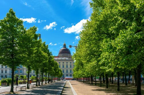 Baumallee am Lustgarten mit Blick auf das Humboldt Forum – zentraler Spazierweg nahe beliebter Treffpunkte rund um Escort Berlin.