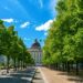 Baumallee am Lustgarten mit Blick auf das Humboldt Forum – zentraler Spazierweg nahe beliebter Treffpunkte rund um Escort Berlin.